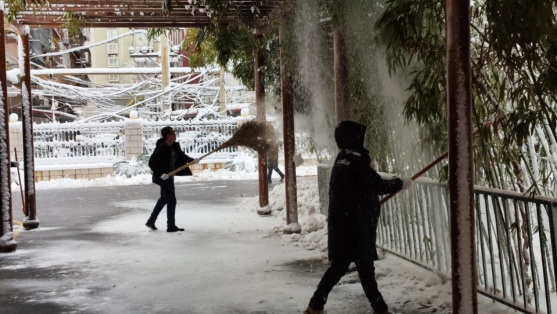 图片8_副本.png 图片8_副本.png